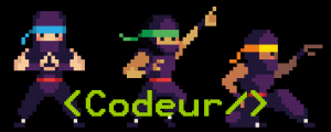 Les Ninjas Codeurs